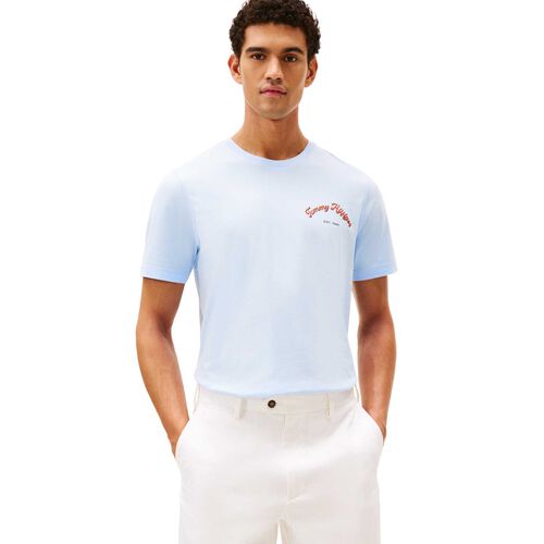 Tommy Hilfiger Graphic Tee